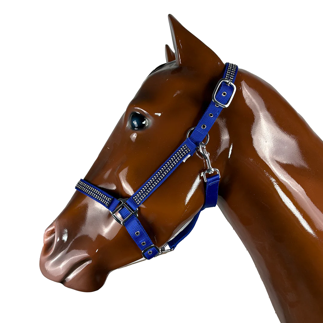 Cowboy Collection Nylon Halter - Image 3