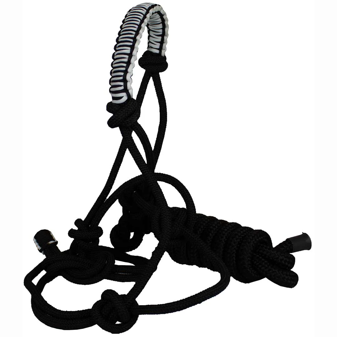 Cowboy Collection Nylon Halter with Lead - Image 6