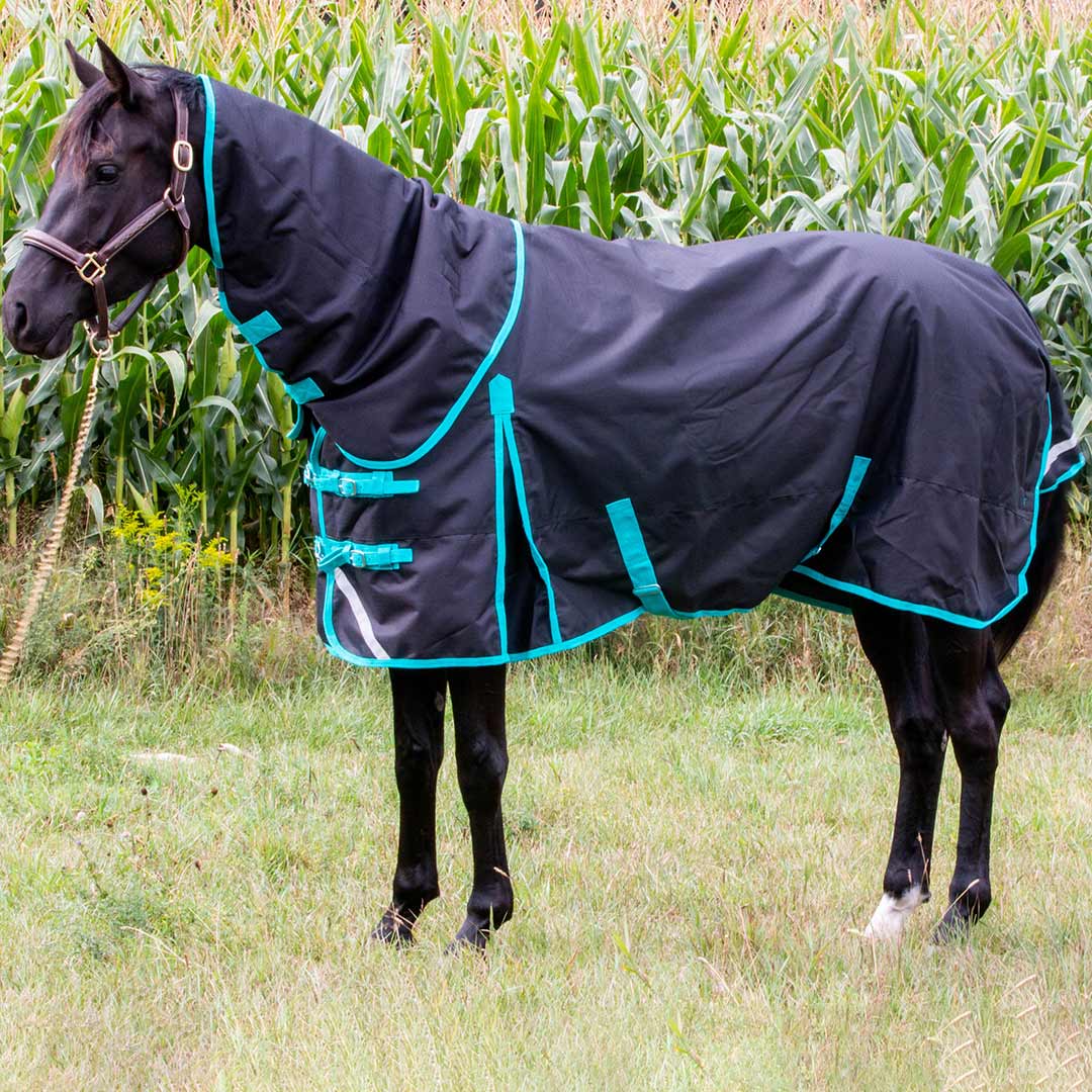 Tech Equestrian Winter Turnout Blanket With Detachable Hood - 350GSM - Image 2
