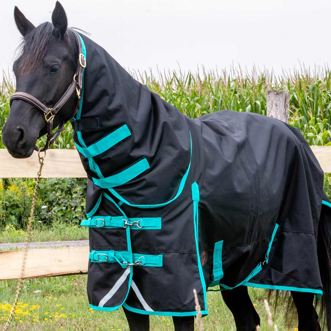 Tech Equestrian Winter Turnout Blanket With Detachable Hood - 350GSM - Image 3