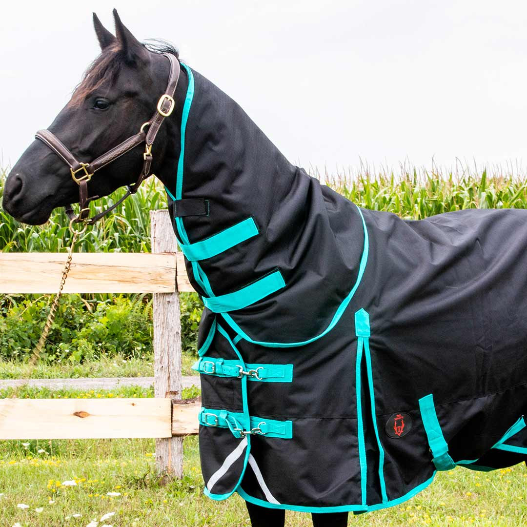 Tech Equestrian Winter Turnout Blanket With Detachable Hood - 350GSM - Image 4