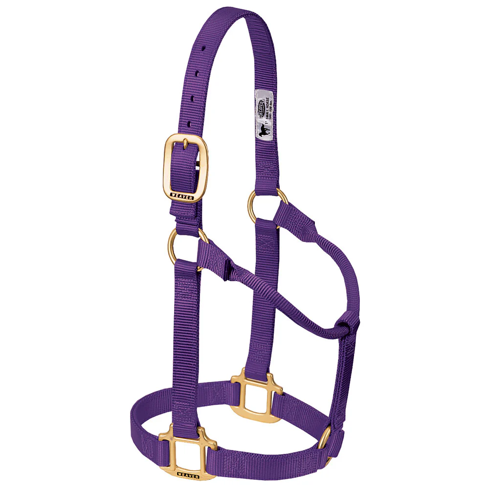 Weaver Original Non-Adjustable 1" Halter - Image 4