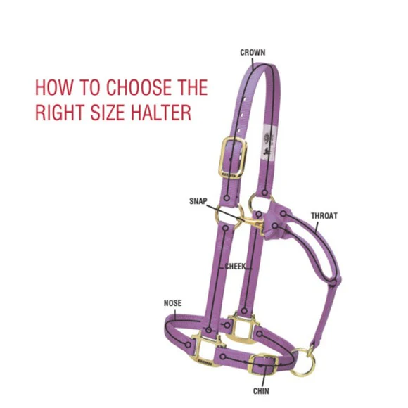 Weaver Patterned Non-Adjustable Halter - Image 3